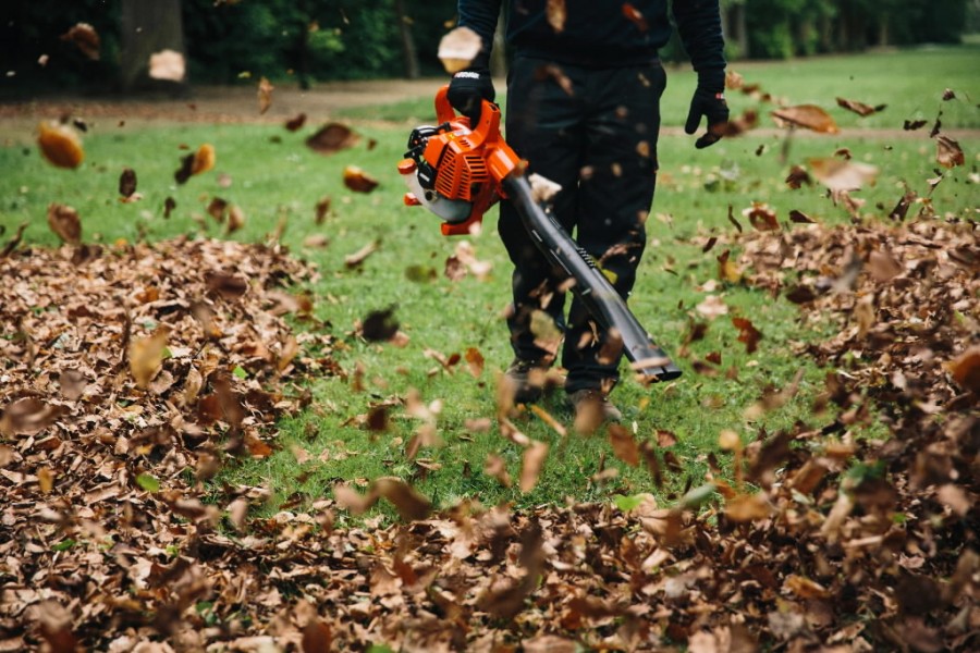 Lehepuhur ECHO ES-250ES + ASPEN 2 bensiin 5L - Image 3