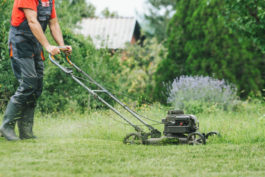 Biolisandiga kütus ja väikemootorid