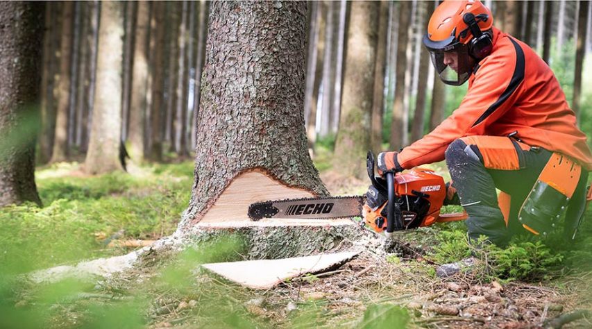 Mootorsaag Echo CS-7310SX/70RU X-Series + turvapüksid - Image 2