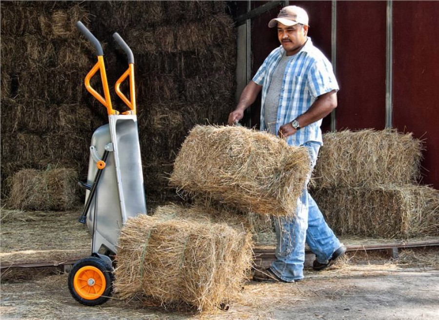 Multifunktsionaalne aiakäru Aerocart - Image 3