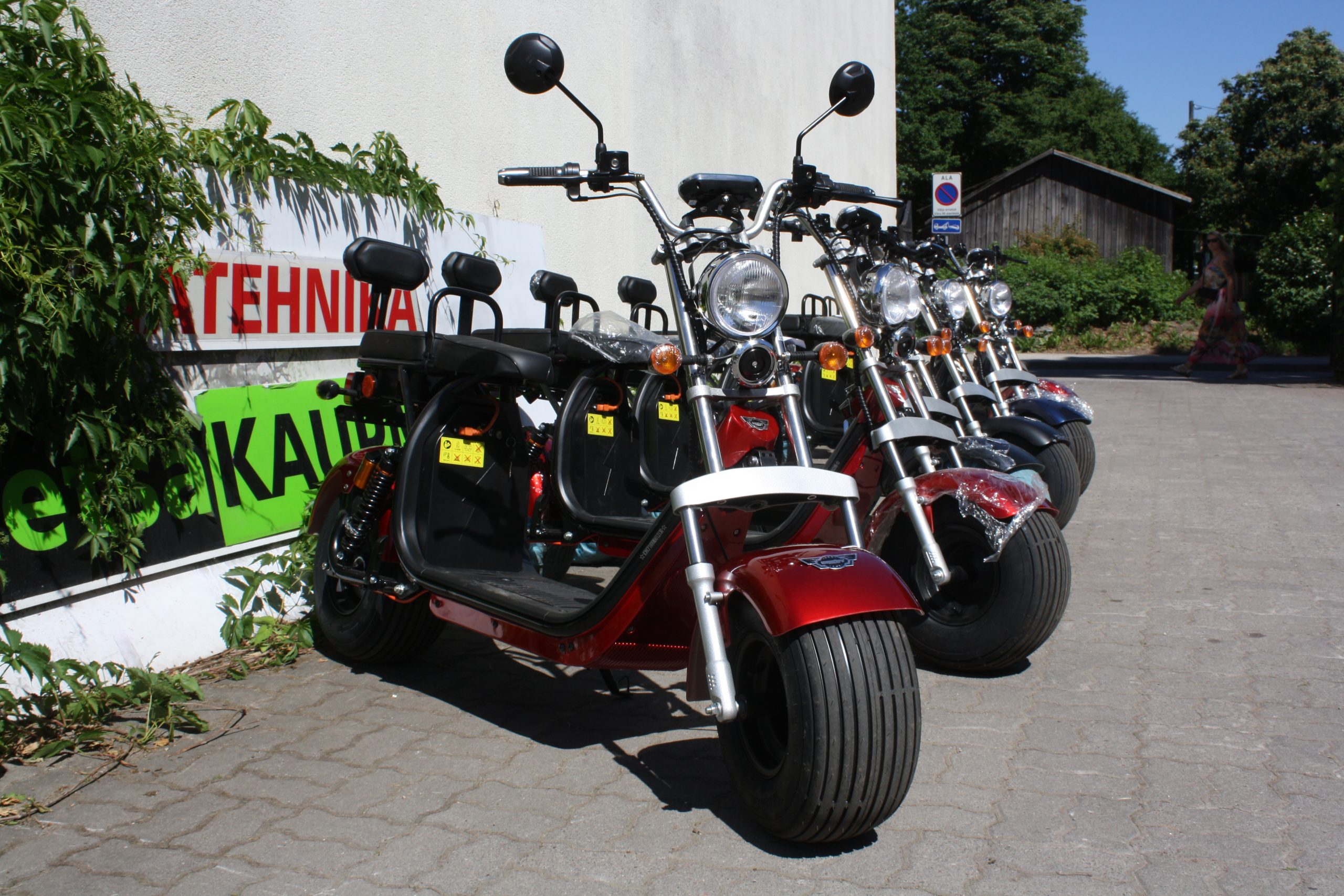 You are currently viewing Elektrirolleritel ja elektrijalgratastel head hinnad ja tasuta transport…