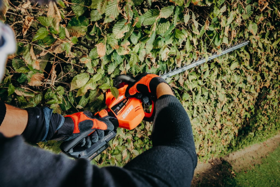 Akuga hekilõikur Echo DHC-310 40V Garden+ (karkass) - Image 2