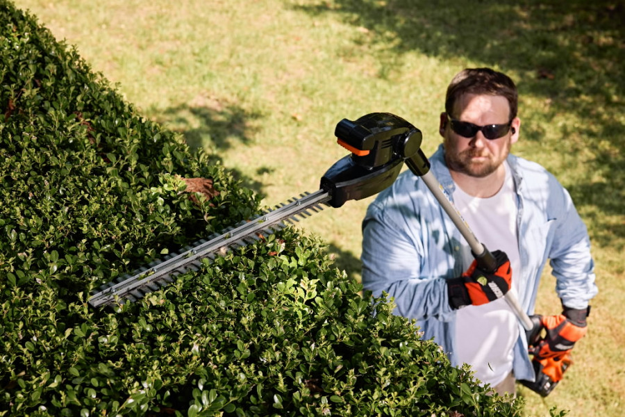 Akuga hekilõikur Echo DHCA-310 40V (karkass) (pika varrega) - Image 2